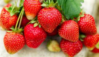 اسٹرابیری کے روزانہ استعمال سے جسم پر کیا اثرات پڑتے ہیں؟