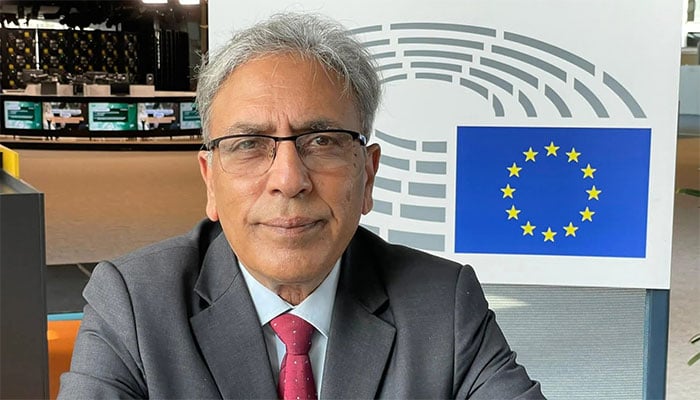 چیئرمین کشمیر کونسل ای یو علی رضا سید—فائل فوٹو