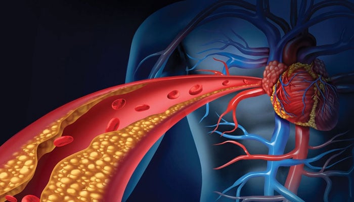 —فائل فوٹو