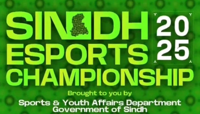 سندھ ای اسپورٹس چیمپئن شپ، ولورینٹ گیم کا ٹائٹل گیم تھیوری نے جیت لیا