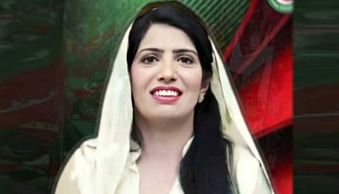 عالیہ حمزہ—فائل فوٹو