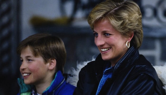 Prince Williams pursuit of truth about Princess Dianas death exposed