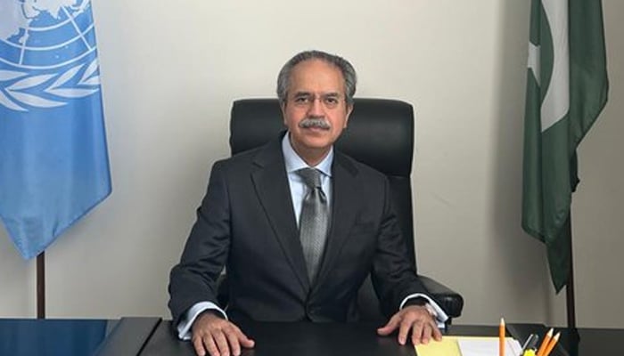 پاکستانی مستقل مندوب عاصم افتخار—فائل فوٹو