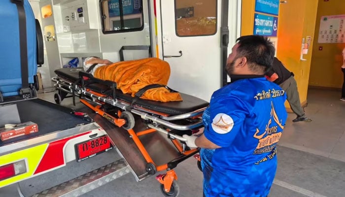 فوٹو: بشکریہ سوشل میڈیا