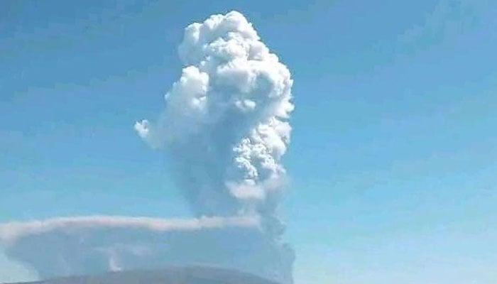 فوٹو: سوشل میڈیا