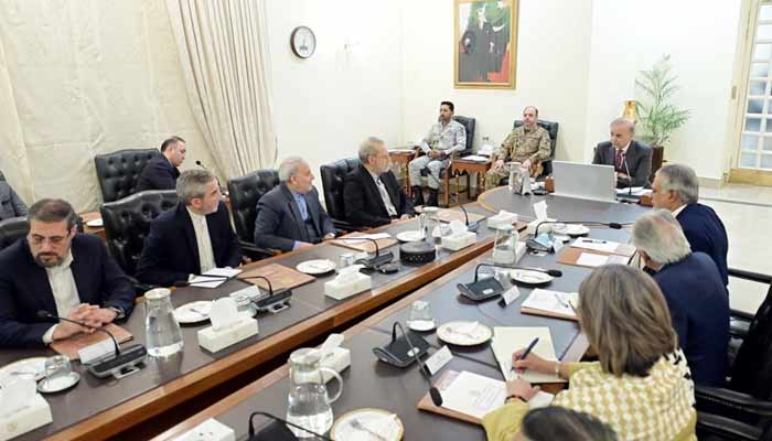 فوٹو: پی آئی ڈی