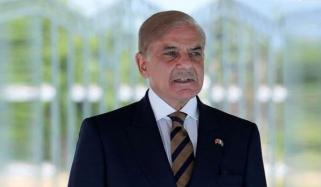 وزیراعظم شہباز شریف کا خواتین پر تشدد کے خاتمے کے عالمی دن پر پیغام