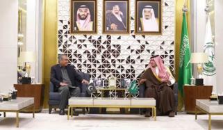 وزیر داخلہ کی سعودی ہم منصب سے ملاقات، ٹریننگ ایکسچینج پروگرام پر اتفاق 