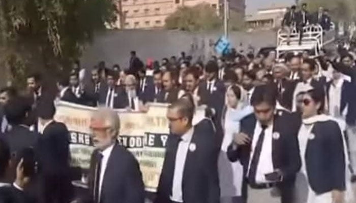 فوٹو: اسکرین گریب