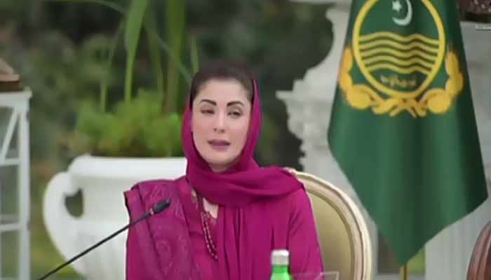 وزیرِ اعلیٰ پنجاب مریم نواز—فوٹو: اسکرین گریب