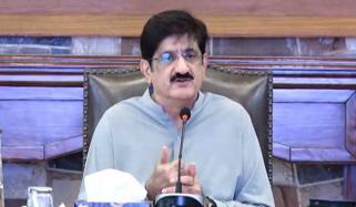 وکلاء کا کام دلائل دینا ہے، احتجاج کرنا سمجھ سے بالاتر ہے: مراد علی شاہ