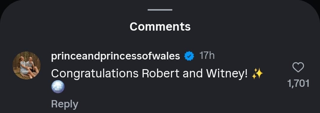 The Prince and Princess of Wales celebrate Robert Irwins victory