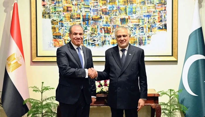 پاکستان اور مصر کا سیاسی، معاشی اور دفاعی تعاون بڑھانے پر اتفاق