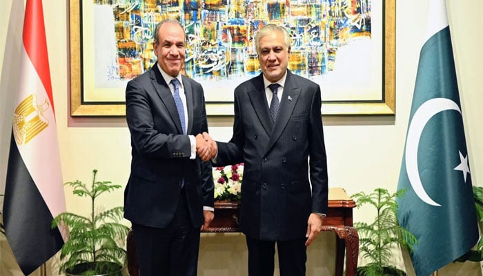 وزیرِ خارجہ اسحاق ڈار کی مصری ہم منصب ڈاکٹر بدر احمد محمد عبدالعاطی سے ملاقات—فائل فوٹو
