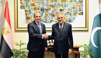 پاکستان اور مصر کا سیاسی، معاشی اور دفاعی تعاون بڑھانے پر اتفاق