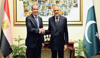 مصری وزیرِ خارجہ کا دورۂ پاکستان، دفترِ خارجہ کا  اعلامیہ جاری