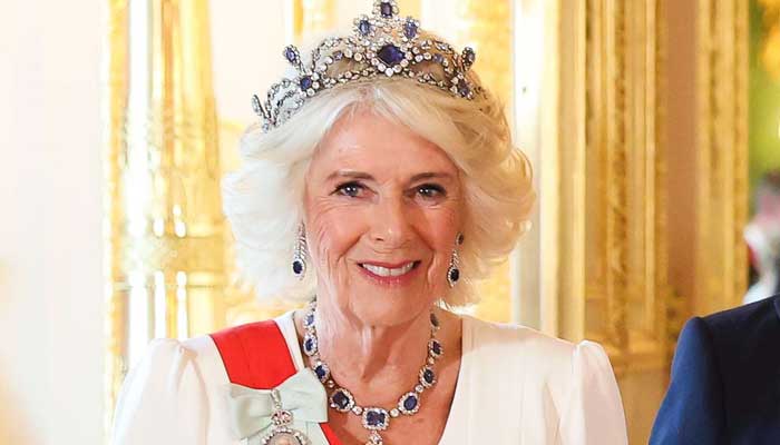 Buckingham Palace offers insight into Queen Camillas emotional visit