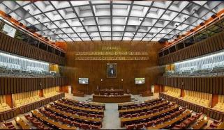 گرفتار افراد کے حقوق کا بل سینیٹ سے منظور