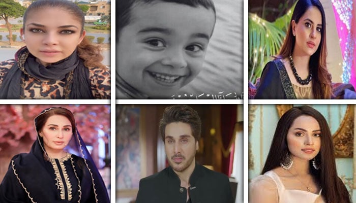 کولاج فوٹو: فائل