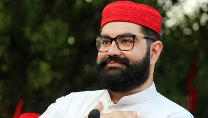 گورنر راج کے معاملے سے اے این پی کو دور رکھا جائے، ایمل ولی —فائل فوٹو