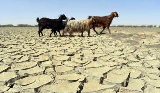 بلوچستان شدید موسمیاتی چیلنجز کا شکار 