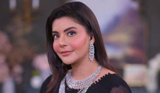 نِدا یاسر فوڈ ڈیلیوری رائیڈرز سے متعلق بیان پر تنقید کی زد میں