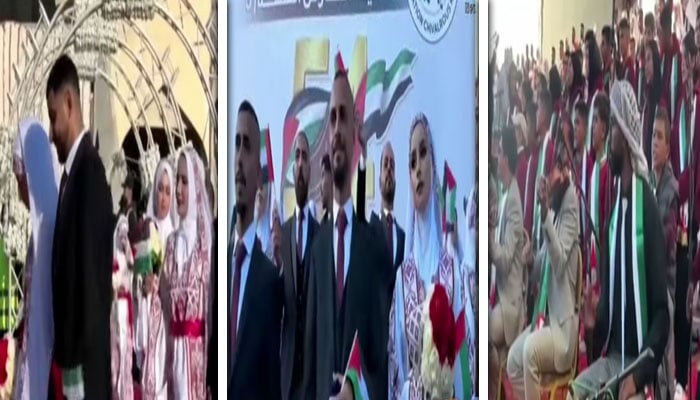 ’جیو نیوز‘ گریب