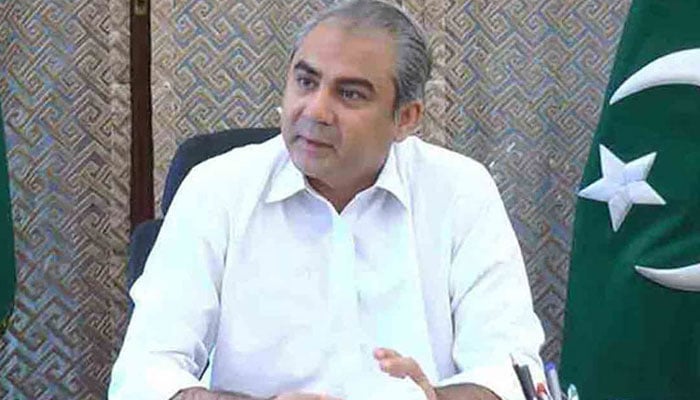 وزیرِ داخلہ محسن نقوی—فائل فوٹو