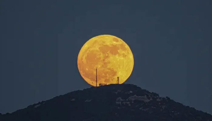 ۔۔فائل فوٹو