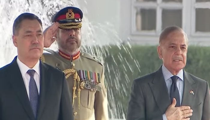 ’جیو نیوز‘ گریب