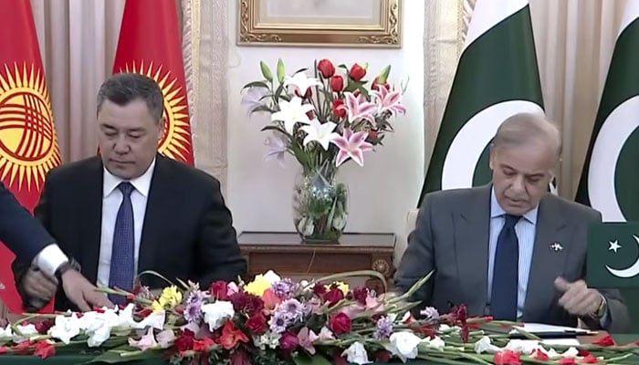 اسکرین گریب