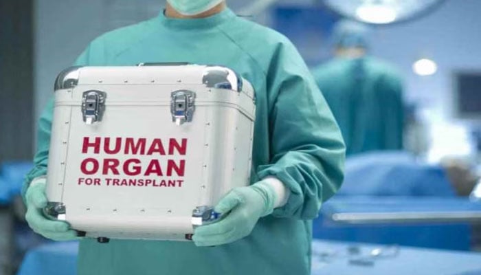 —فائل فوٹو