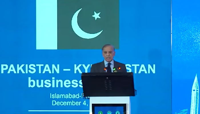 فوٹو: اسکرین گریب