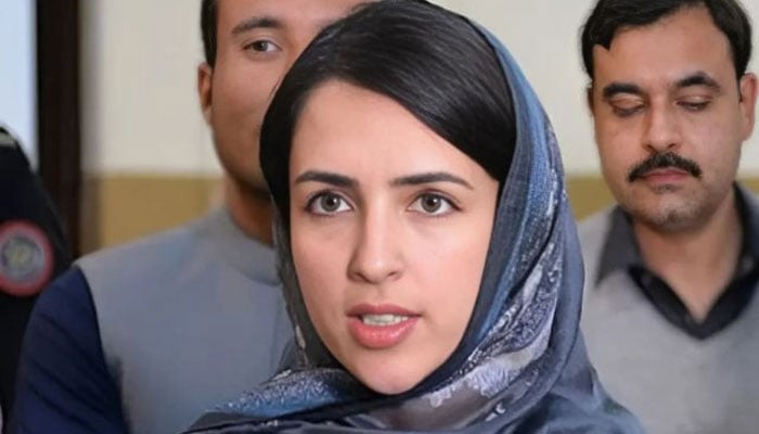 سینیٹر مشال یوسف زئی(فائل فوٹو)۔