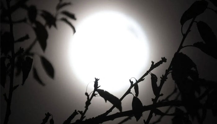 Supermoon 2025 to occur tonight: Check global timings