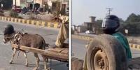 چلان سے بچنے کیلئے گدھے نے بھی ہیلمٹ پہن لیا، دلچسپ ویڈیو وائرل