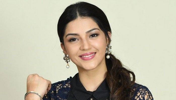 مہرین پیرزادہ نے بھارتی ایئرلائن کو ’جہنم میں جاؤ‘ کہہ دیا