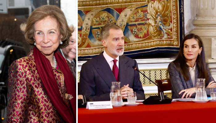 Queen Sofia takes on key duty after Felipe, Letizia chair major annual meeting