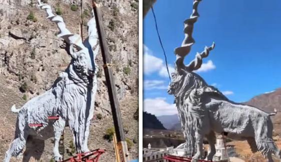 وادی کاغان میں مارخور کا دیو ہیکل مجسمہ نصب