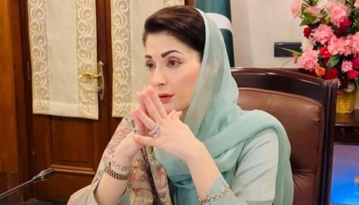 وزیراعلیٰ پنجاب مریم نواز - فوٹو: فائل