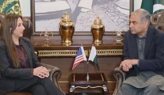 وفاقی وزیر داخلہ محسن نقوی سے قائم مقام امریکی سفیر نیٹلی بیکر کی ملاقات