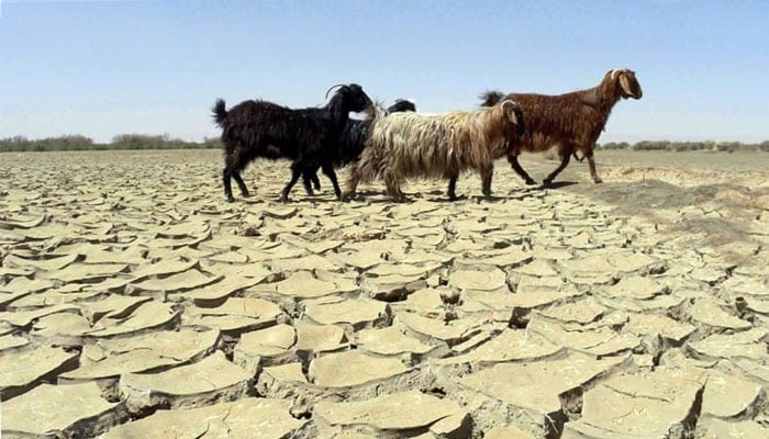کم بارشیں، بلوچستان میں خشک سالی کی صورتحال میں شدت آنے کا خدشہ