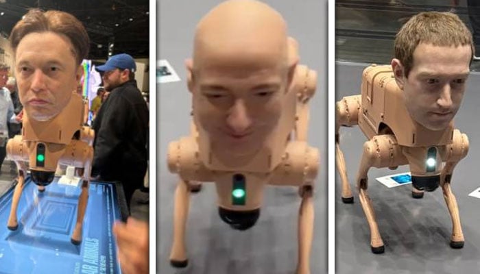 تصاویر:بین الاقوامی میڈیا