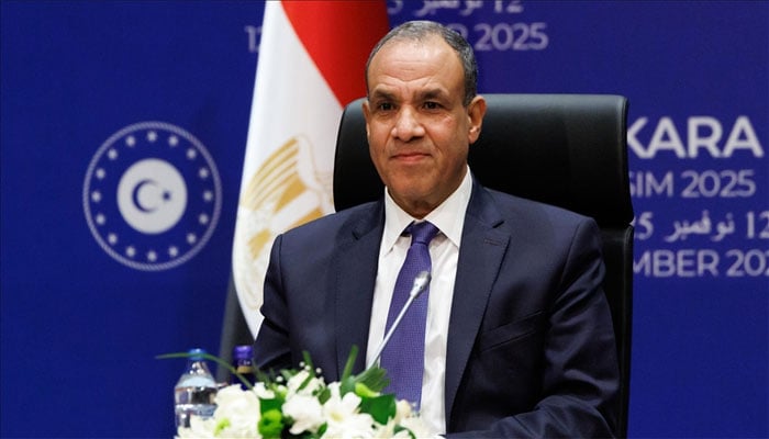 مصر کے وزیرِ خارجہ بدر عبدالاطی—تصویر بشکریہ سوشل میڈیا