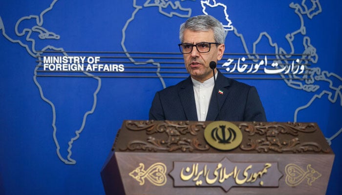 ترجمان ایرانی وزارتِ خارجہ—فائل فوٹو