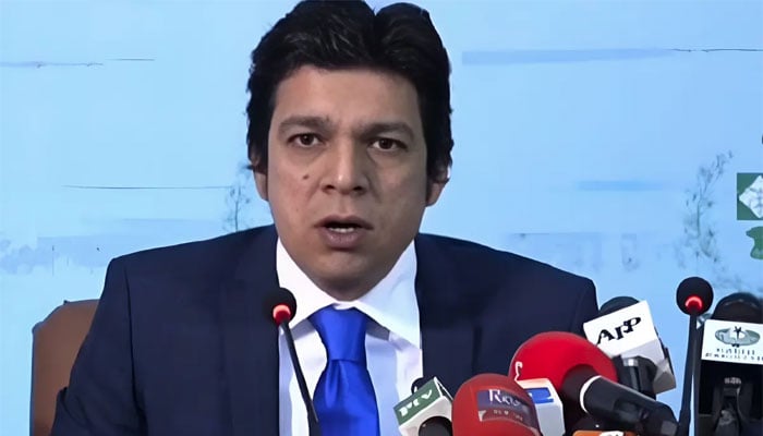 سینیٹر فیصل واوڈا—فائل فوٹو