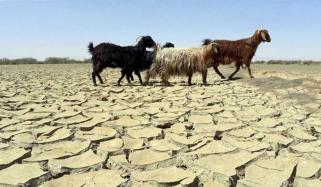 کم بارشیں، بلوچستان میں خشک سالی کی صورتحال میں شدت آنے کا خدشہ