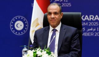 غزہ میں بین الاقوامی فورس امن مسلط کرنے نہیں، قیامِ امن کیلئے ہونا چاہیے: مصر