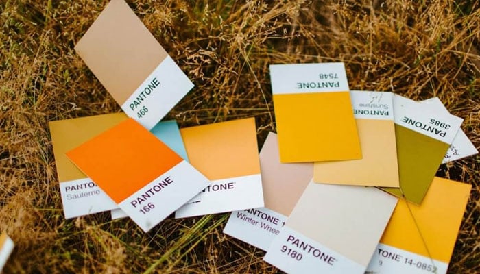 ---فائل فوٹو