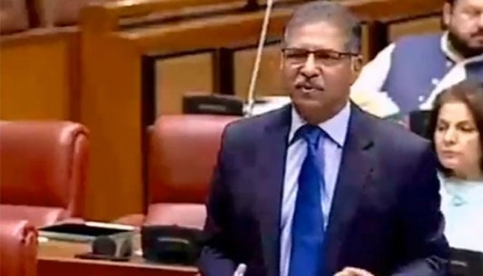 سینیٹر علی ظفر(فائل فوٹو)۔